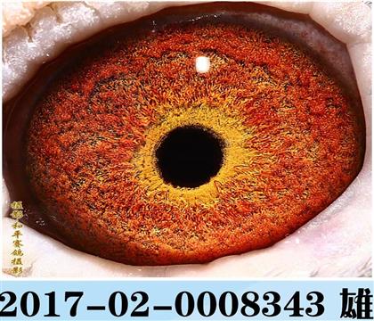 ������۾�