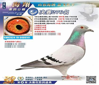 �Ӵ�����Ƭ