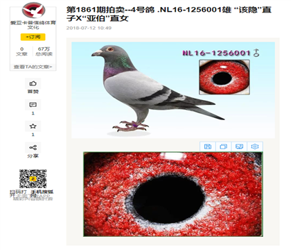 ������վ������ͼ