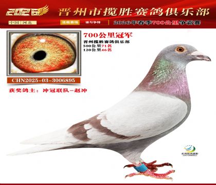 700����ھ�