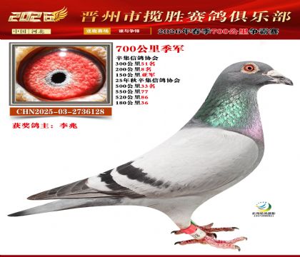 700���＾��