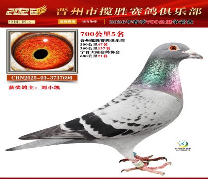 700����5��