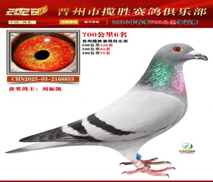 700����6��