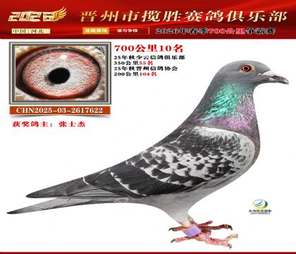 700����10��