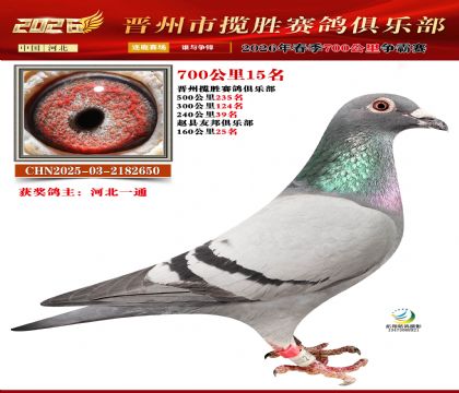 700����15��