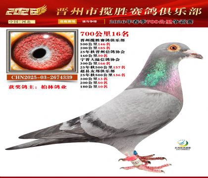 700����16��