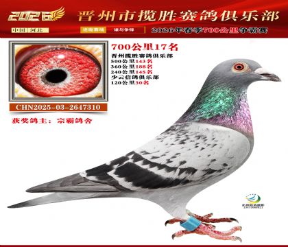 700����17��