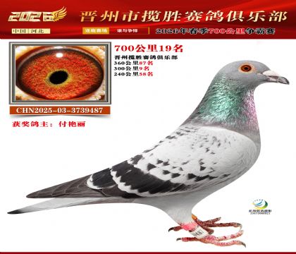 700����19��