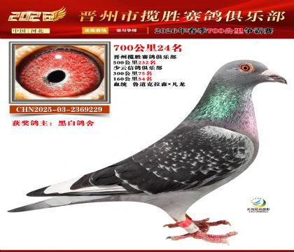 700����24��