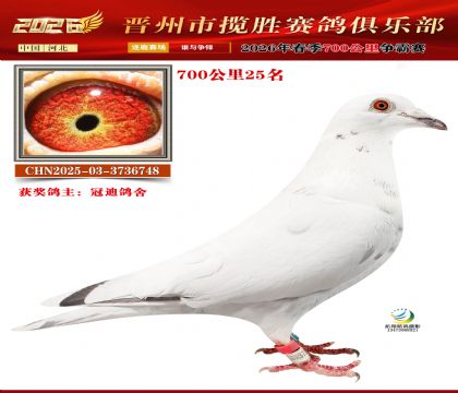 700����25��