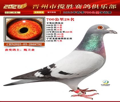 700����28��