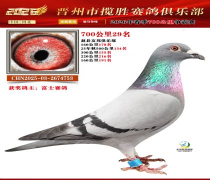 700����29��