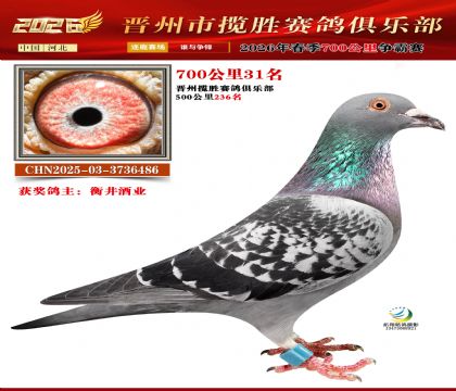 700����31��