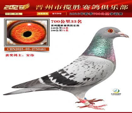 700����33��