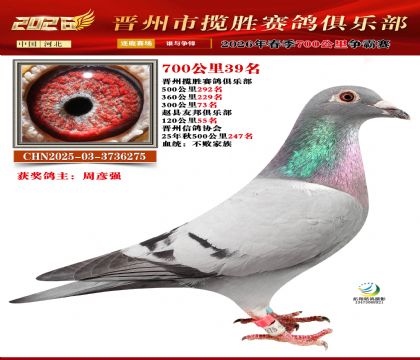 700����39��