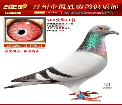 700����41��