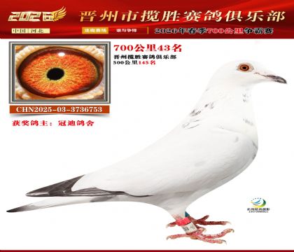 700����43��