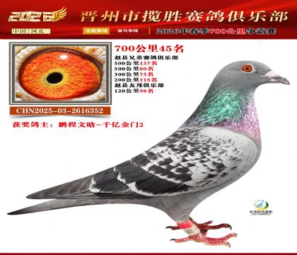 700����45��