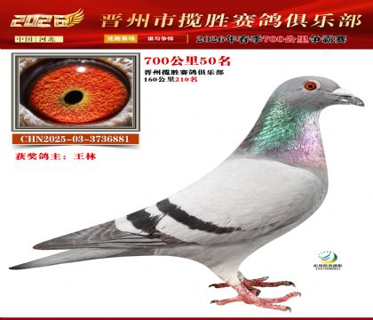 700����50��