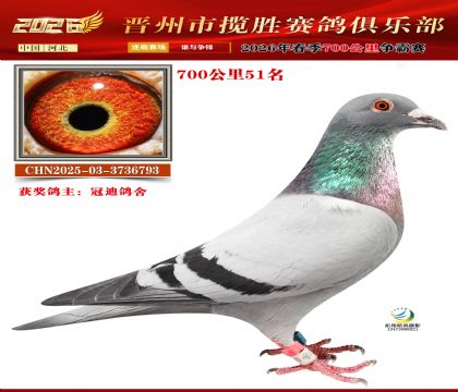 700����51��