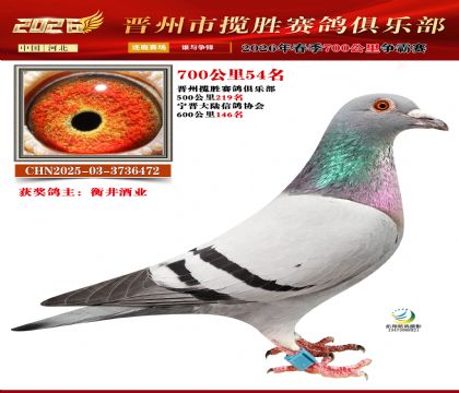 700����54��