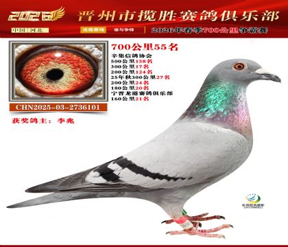 700����55��