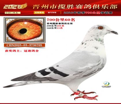 700����60��