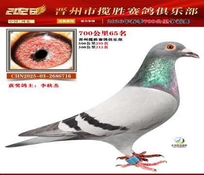 700����65��