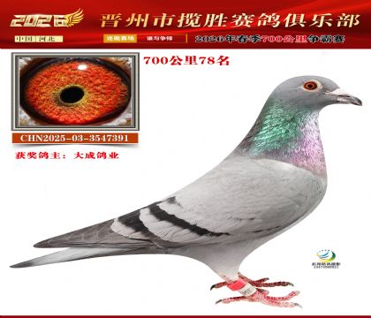 700����78��