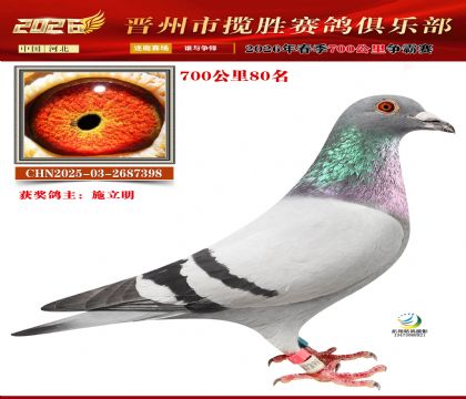 700����80��