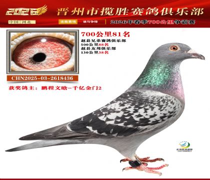 700����81��