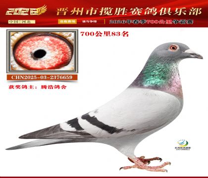 700����83��