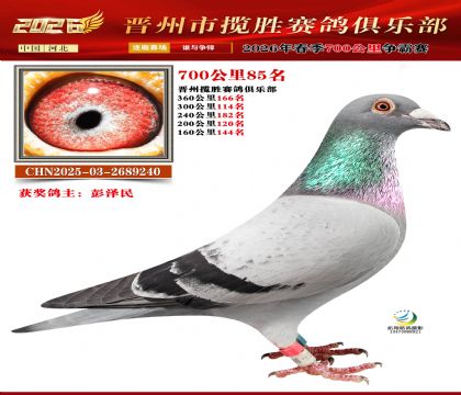 700����85��