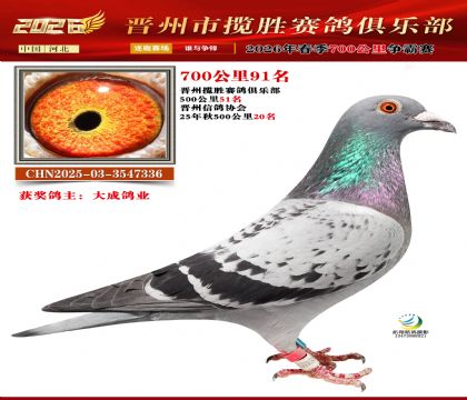 700����91��