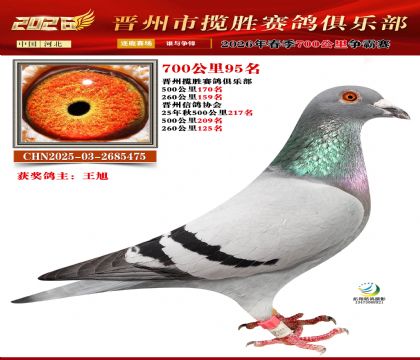 700����95��