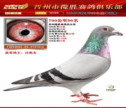 700����96��