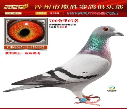 700����97��