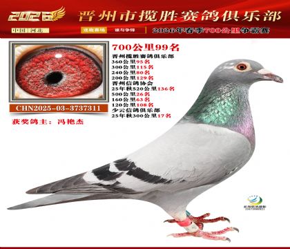 700����99��