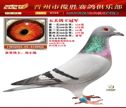 ��ظ����ھ�