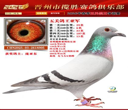 ��ظ����Ǿ�