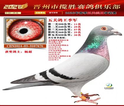 ��ظ�������