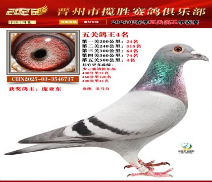 ��ظ���4��