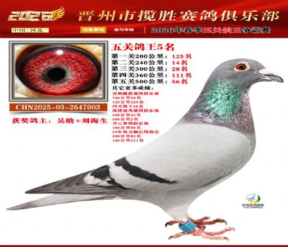 ��ظ���5��