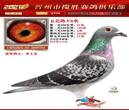 ��ظ���6��