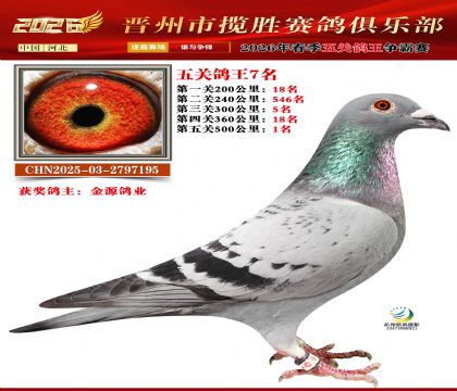 ��ظ���7��