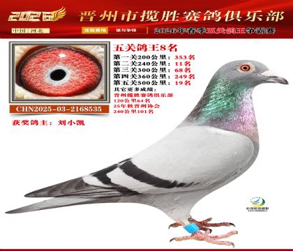 ��ظ���8��