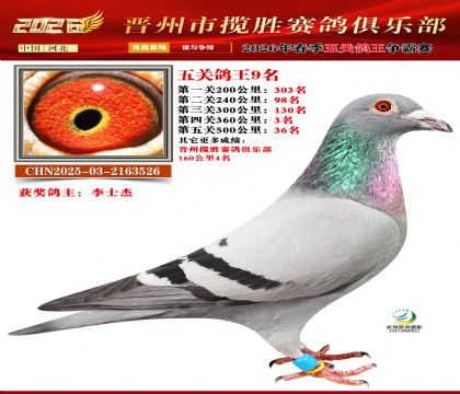 ��ظ���9��