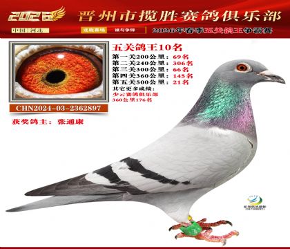 ��ظ���10��