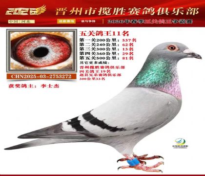 ��ظ���11��