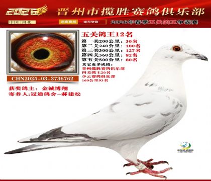 ��ظ���12��